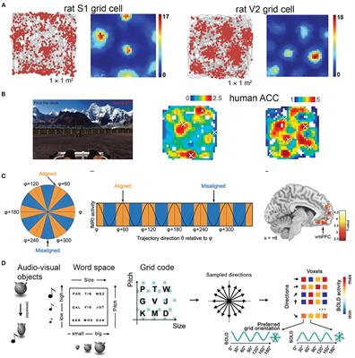 Are Grid-Like Representations a Component of All Perception and Cognition?